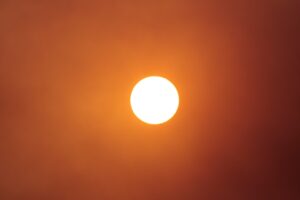 Zon